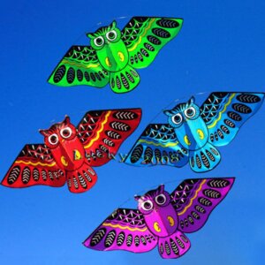 עפיפון בצורת ינשוף תלת מימדי עם חוט באורך 50 מטרים!