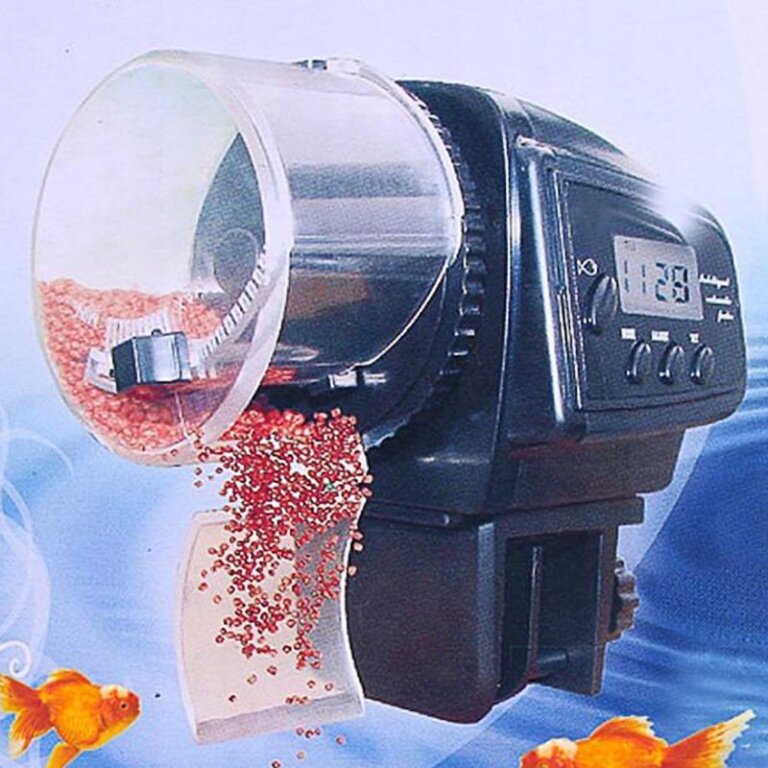 0-589c11.jpeg