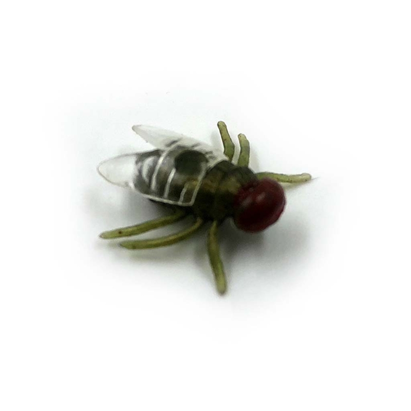 100 יחידות של זבובים מזויפים – למתיחות על הקרובים שלכם!