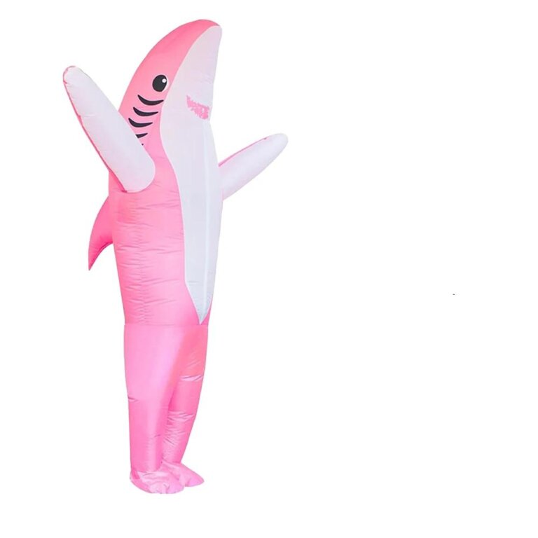 311937-b525d1.jpeg